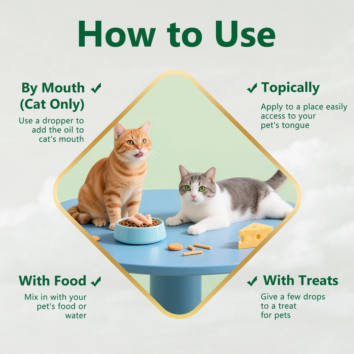 PetFit Naturals 2oz Liquid Cat Vitamins Lysine Probiotics Omega3 Supplement for Feline Kidney Immunity Skin Digestive Health Healthy supplements