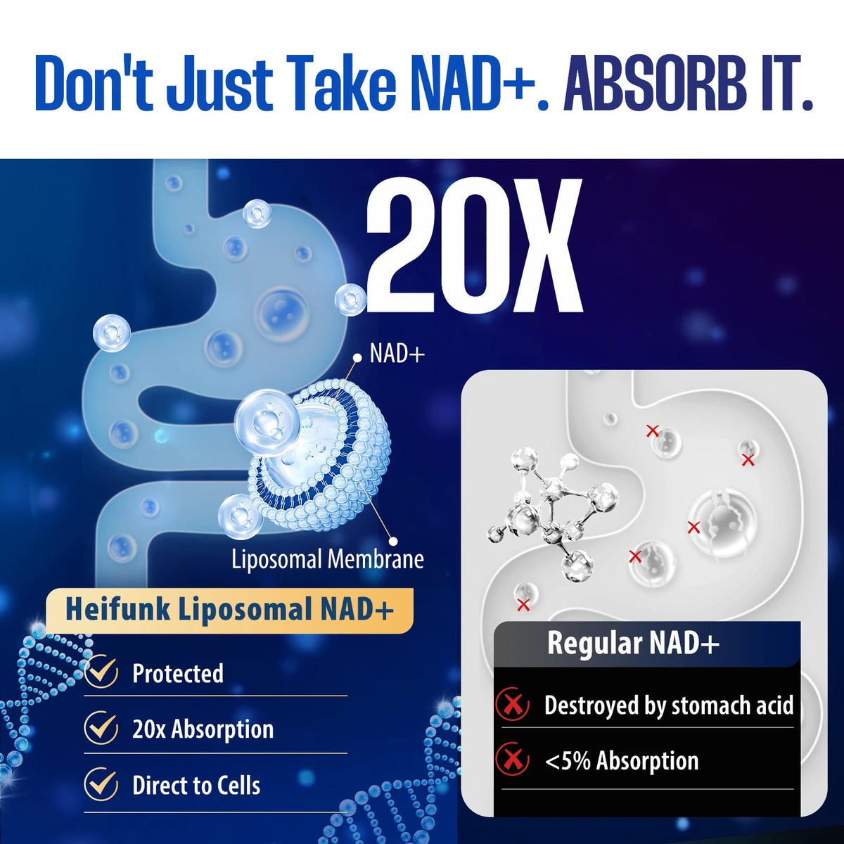 NAD+ Anti Aging Cell Booster Resveratrol Supplement Capsules with Niacinamide Support Cellular Health for Men & Women, Non-GMO Healthy supplements