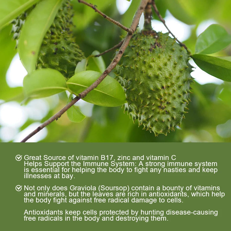 YIMIDUK Graviola Soursop Supplement, Supports Immune Health, Digestive Comfort, Sleep Quality & Overall Body Wellness Daily Healthy supplements