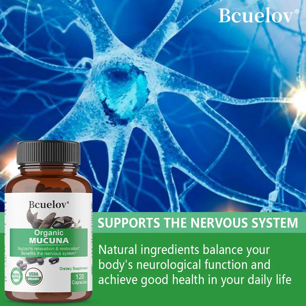 Organic Mucuna Capsules - Supports Relaxation and Well-Being - Natural Herbal Supplement for Nervous System Health Healthy supplements