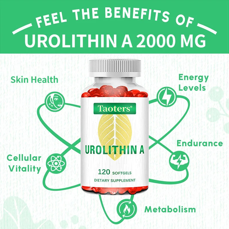 Antioxidant Supplement with Urolithin A - Natural Pomegranate Capsules for Heart Health Joint Support for Men and Women Healthy supplements