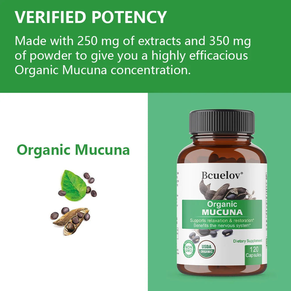 Organic Mucuna Capsules - Supports Relaxation and Well-Being - Natural Herbal Supplement for Nervous System Health Healthy supplements