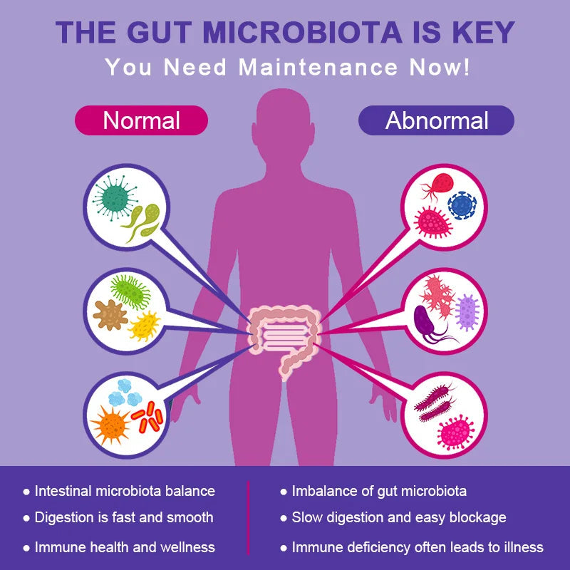 Lactobacillus Probiotic Supplement - Helps Burn Fat Metabolism & Promotes Nutrient Digestion And Gut Health For Adult Men&Women Healthy supplements