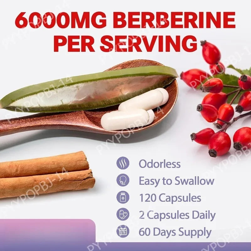 27 in 1 Berberine Supplement with Ceylon Cinnamon, Milk Thistle for Liver Gut Health Immunity Men & Women 120 Vegan Capsules Healthy supplements