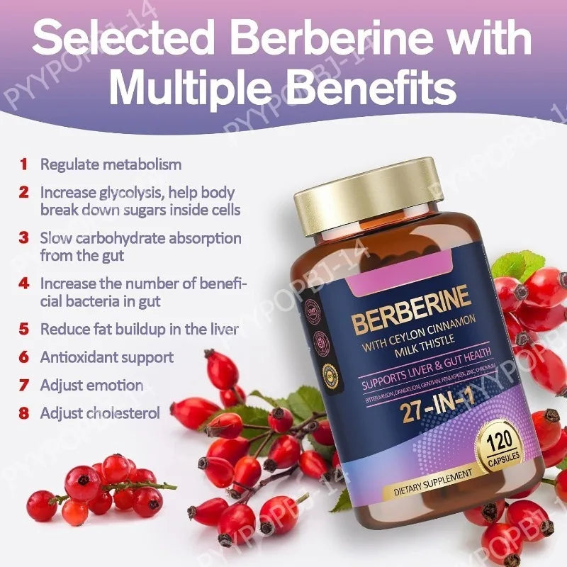 27 in 1 Berberine Supplement with Ceylon Cinnamon, Milk Thistle for Liver Gut Health Immunity Men & Women 120 Vegan Capsules Healthy supplements