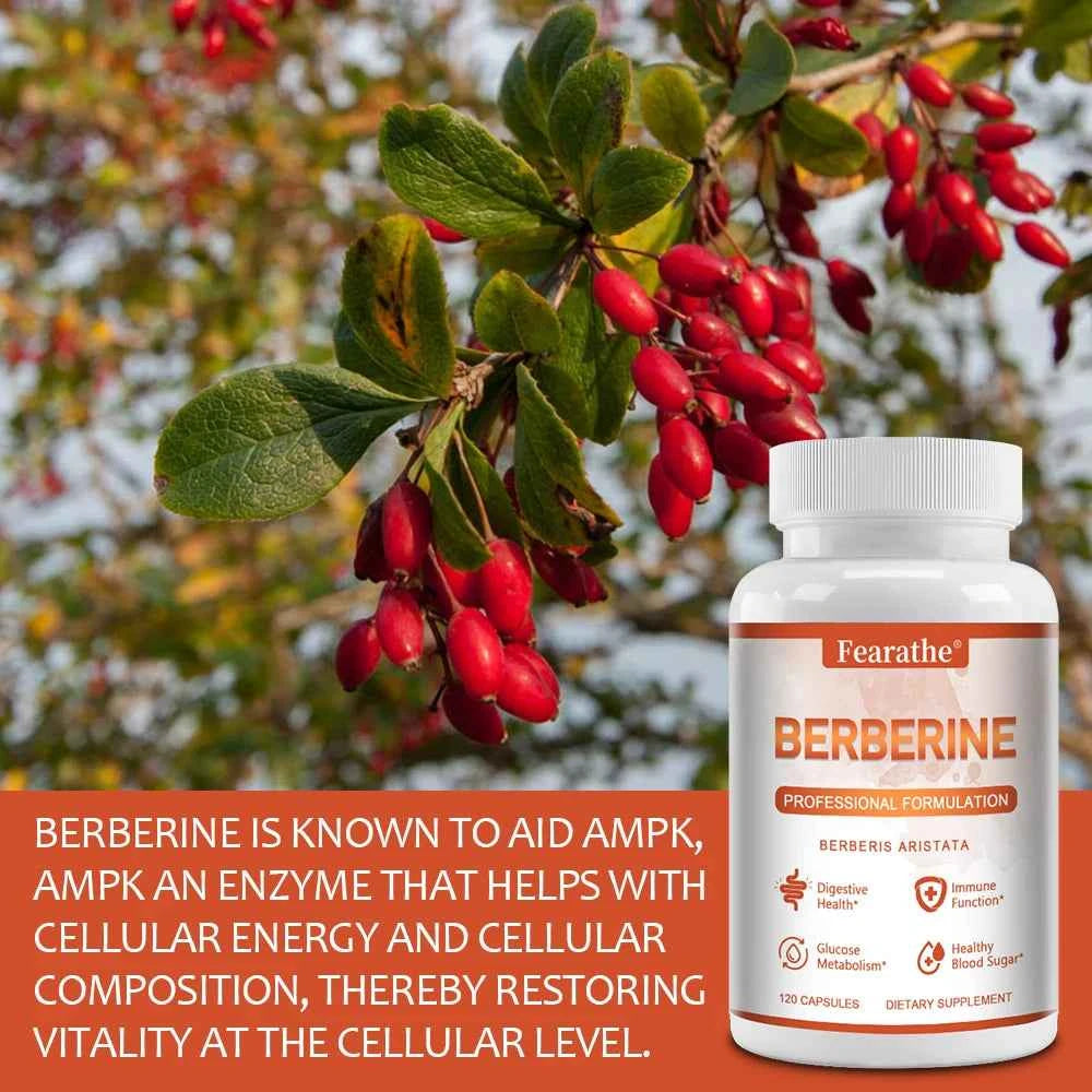 Premium Berberine Supplement - Boost Your Immune System and Support Digestive Health