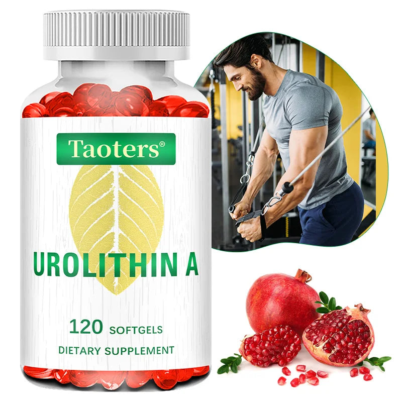Antioxidant Supplement with Urolithin A - Natural Pomegranate Capsules for Heart Health Joint Support for Men and Women Healthy supplements