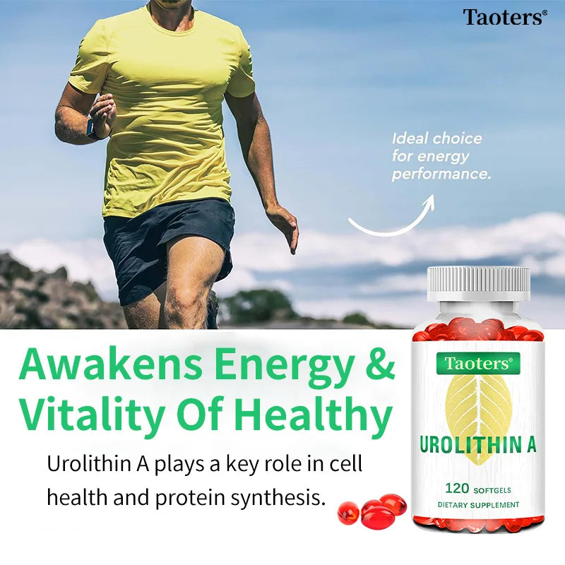 Antioxidant Supplement with Urolithin A - Natural Pomegranate Capsules for Heart Health Joint Support for Men and Women Healthy supplements