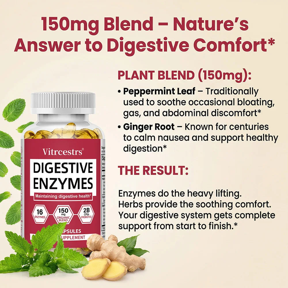 Digestive Enzymes Supplement - Digestion and Intestinal Health for Adults Men and Women, Promotes Nutrient Absorption Healthy supplements