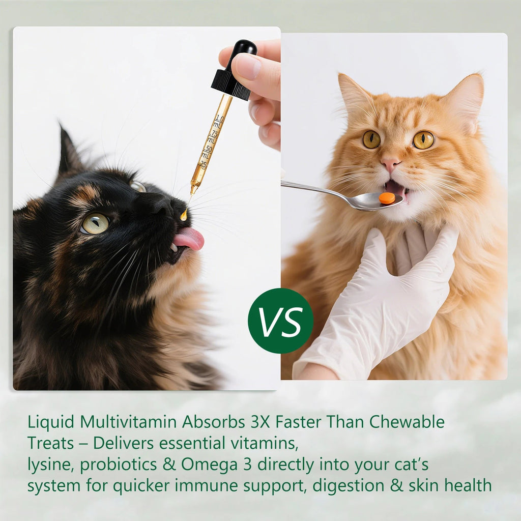 PetFit Naturals 2oz Liquid Cat Vitamins Lysine Probiotics Omega3 Supplement for Feline Kidney Immunity Skin Digestive Health Healthy supplements