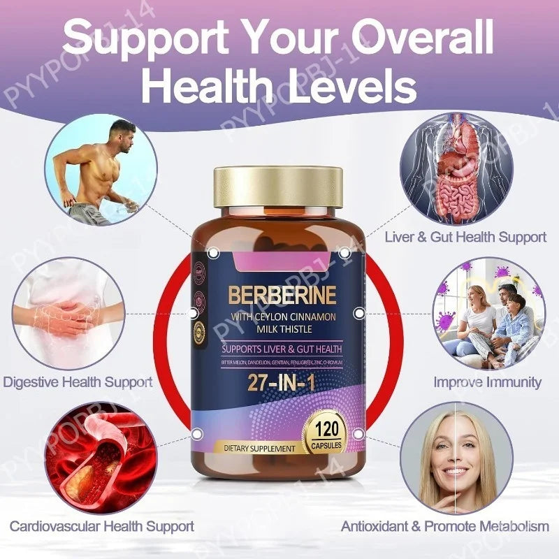 27 in 1 Berberine Supplement with Ceylon Cinnamon, Milk Thistle for Liver Gut Health Immunity Men & Women 120 Vegan Capsules Healthy supplements